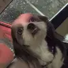 adam.arnall - @adam.arnall - TikTok