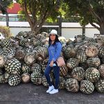 Damian Arreguin Sonia - @sonia_damian_arreguin - Instagram