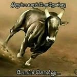 Adam Asar - @asar8219 - Instagram