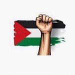 Adam Ashour - @adam.ashour.12935 - Instagram