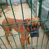 adam.askey - @adam.askey - TikTok