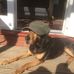 Adam Auger - Facebook