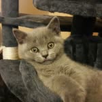 Adam Augustyniak - @adam.augustyniak - Instagram