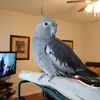 Adam Avalos - @adamavalos5 - TikTok