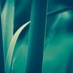Adam Avery - @averrry_adam - Instagram