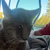 Adam Ayres - @adamayres739 - TikTok