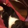 Adam Ayres - @adamayres02 - TikTok