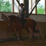 Ádám Bagi - @dr_bagi - Instagram
