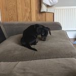 Adam Bagnall - @adambagers - Instagram