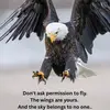 adam 💥 balde   001 - @adam.balde.001 - TikTok