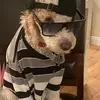 adambalkhi - @adambalkhi - TikTok