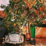 Adam Balla - @adamballa20 - Instagram