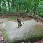 Adam Bany - Facebook