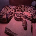Adam Barbee - @rem308sps - Instagram