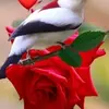 Adam Bardaa - @adam.bardaa4 - TikTok