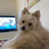 Adammia Bartee - @adammiabartee - TikTok