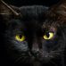 Adam Basco - Facebook