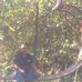 Adam Bashori - Facebook