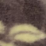 Adam Bast - @adam.bast - Instagram