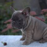 Ad - @adam_bastien_ - Instagram
