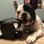 Adam West - @adam_batman_west - Instagram