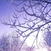 adam battach1990 - @adam.battach90 - TikTok