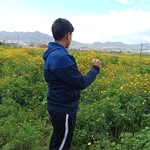ADAM BATTAH - @11adam.battah - Instagram