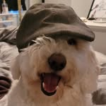 adam battarino - @adambattarino - Instagram