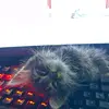 adam_bay - @adam_bayyy - TikTok