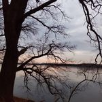 adam_bayer_official - @adam_bayer_official_ - Instagram