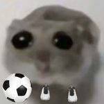 Adam Baz - @adammbaz - Instagram