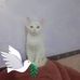 Adam Baz - Facebook