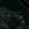 Adam Bazokaa - @adambazokaa222 - TikTok