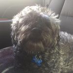 Adam Bazinet - @adam.bazinet.1 - Instagram