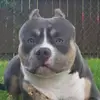 adam.beadnell - @adam.beadnell - TikTok