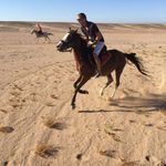 Adam Beale - @adsbeale86 - Instagram