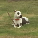 AdamBeamon - @adambeamon4 - Instagram