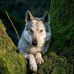 Adam Beard - Facebook