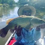 Adam beasley - @beezforsheez - Instagram