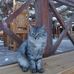 Adam Bebak - Facebook
