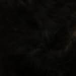 F - @adam_bebars1 - Instagram