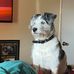 Adam Beckman - Facebook