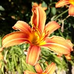 Adam Bede - @adambede2428 - Instagram