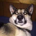 Adam Bedgood - @bedgoodadam8 - Instagram
