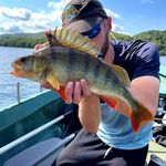 Adam Bee - @adam.bee.fishing - Instagram