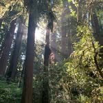 Adam Beeman - @beemanadam - Instagram