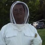 Adam Radford - @adam_the_beeman - Instagram