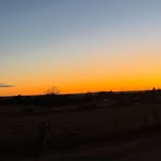 Adam Beene - Facebook