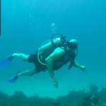 adam beer - @beer_adam - Instagram