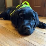 Adam Beer - @adambeer87 - Instagram